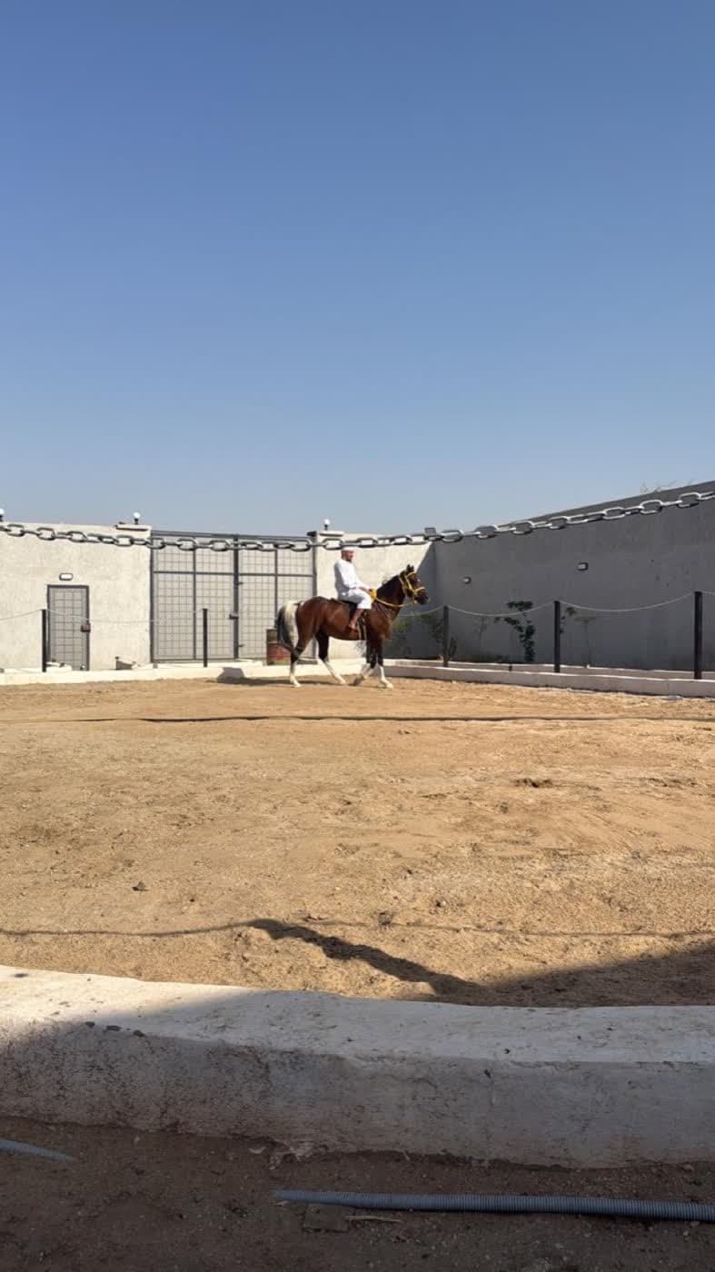 Équitation